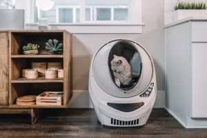 automatic litter box